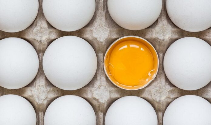 çiğ yumurta içmenin zararları ve faydaları