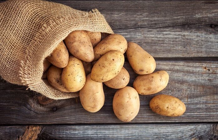 1 orta boy patates kaç kalori patates kilo yapar mı