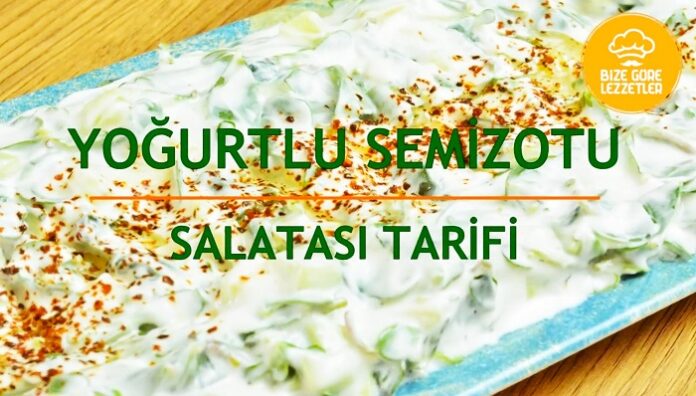 yoğurtlu semizotu salatası tarifi nasıl yapılır