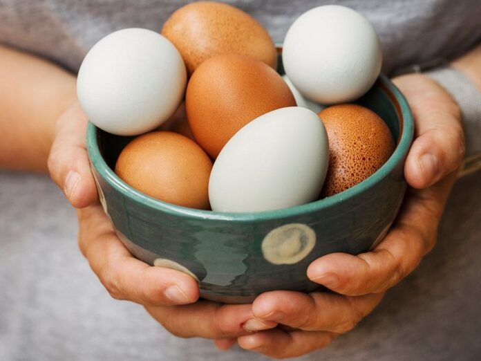 yumurtanın faydaları nelerdir yumurta kalorisi besin değerleri